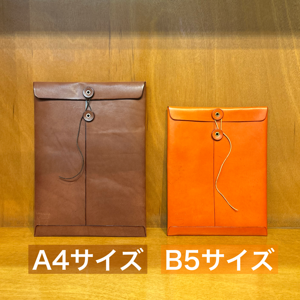 DocumentCase